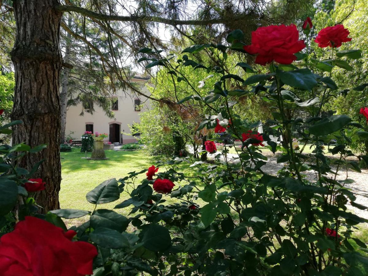 מאנטובה B&B Casa Manuela מראה חיצוני תמונה