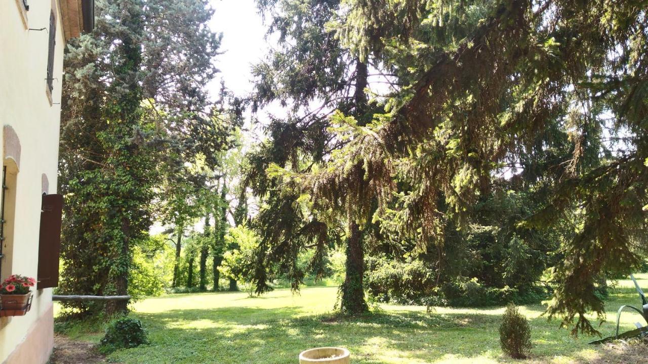 מאנטובה B&B Casa Manuela מראה חיצוני תמונה